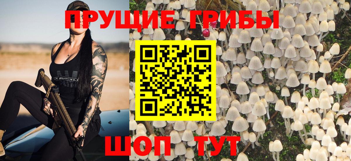 Псилоцибиновые грибы ЛСД  Вход с VPN  Красноярск 